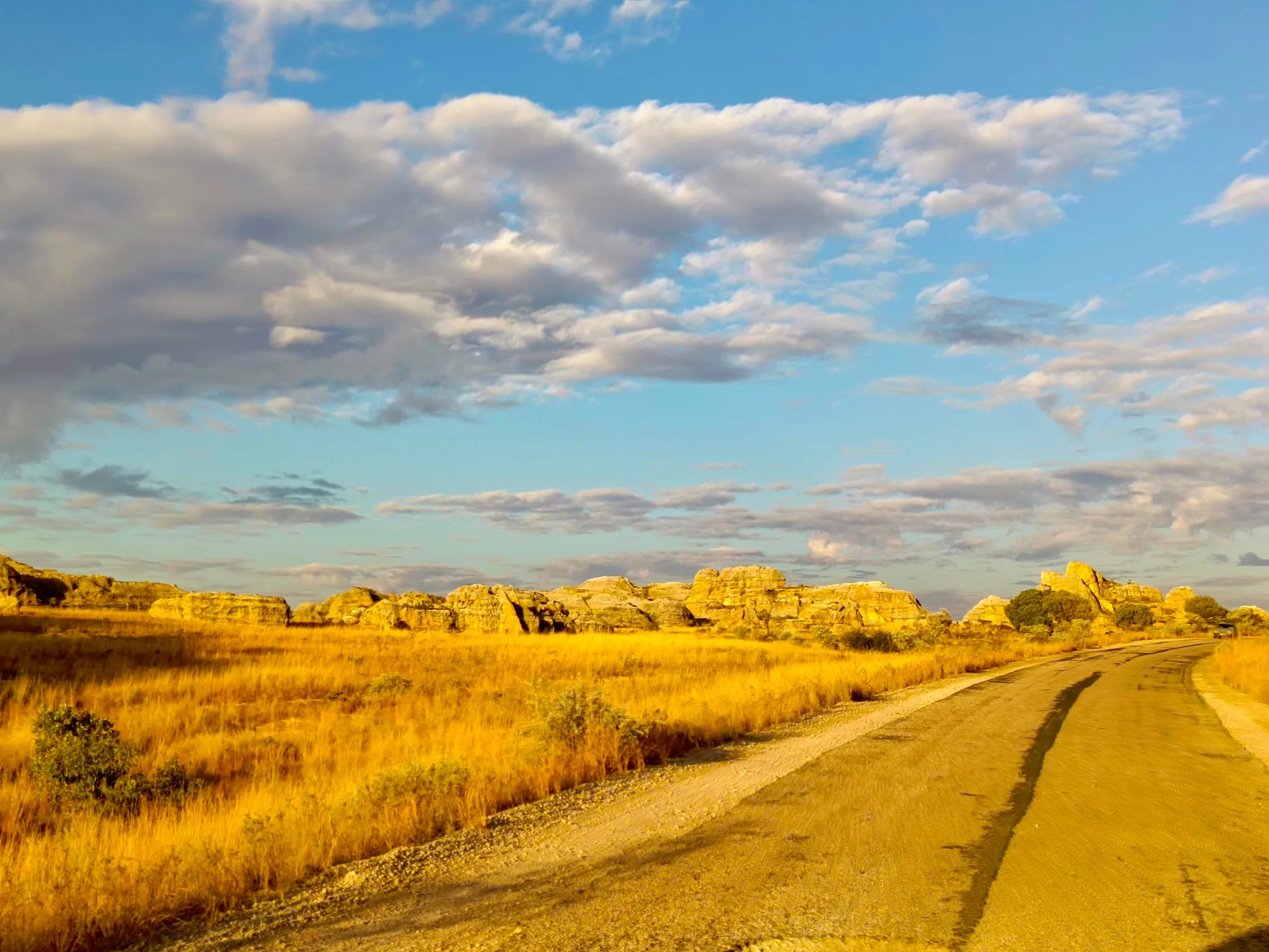 Golden savannah stretching to the horizon