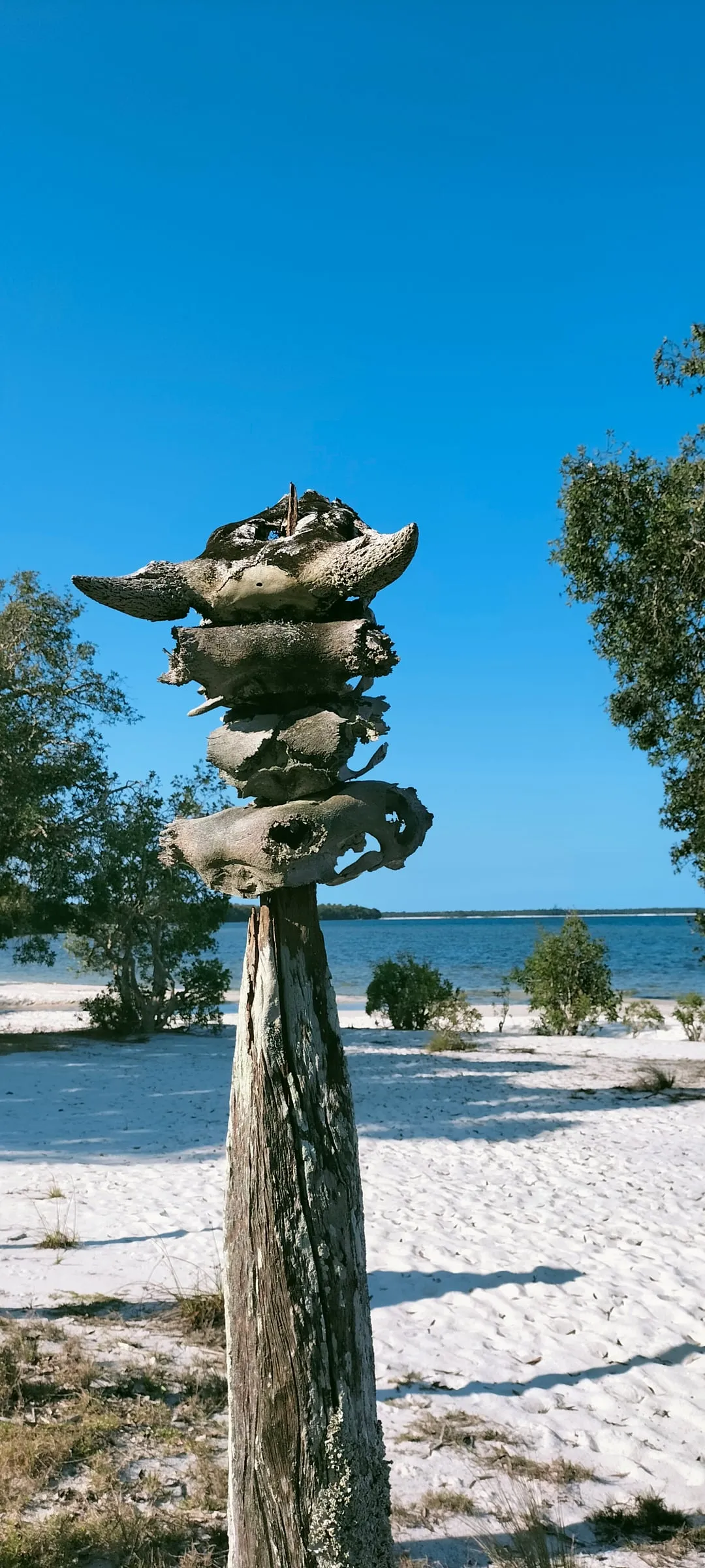 A carved aloalo totem on a Mahafaly tomb