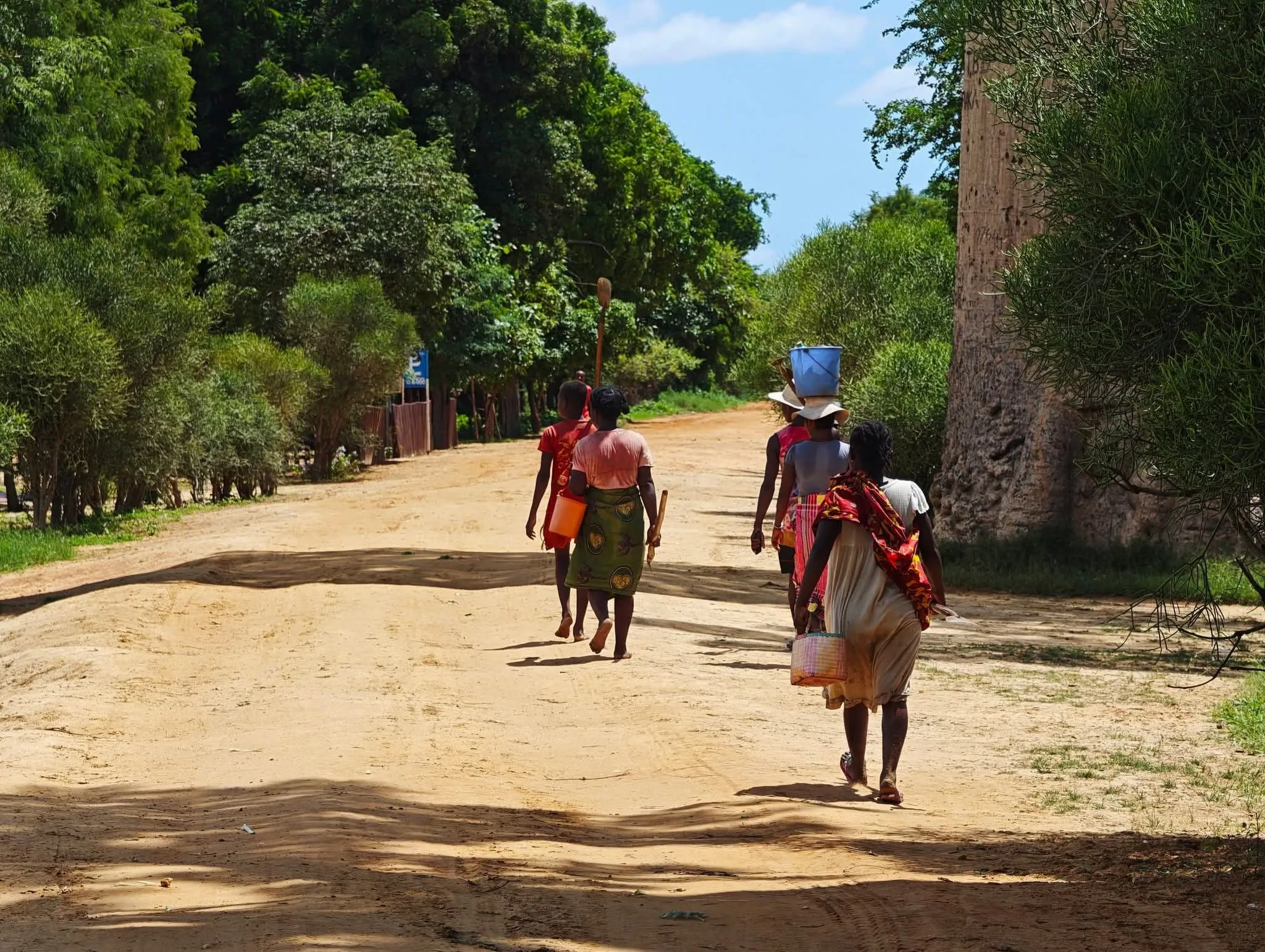 Des femmes portant des seaux marchent sur une piste bordée d’arbres