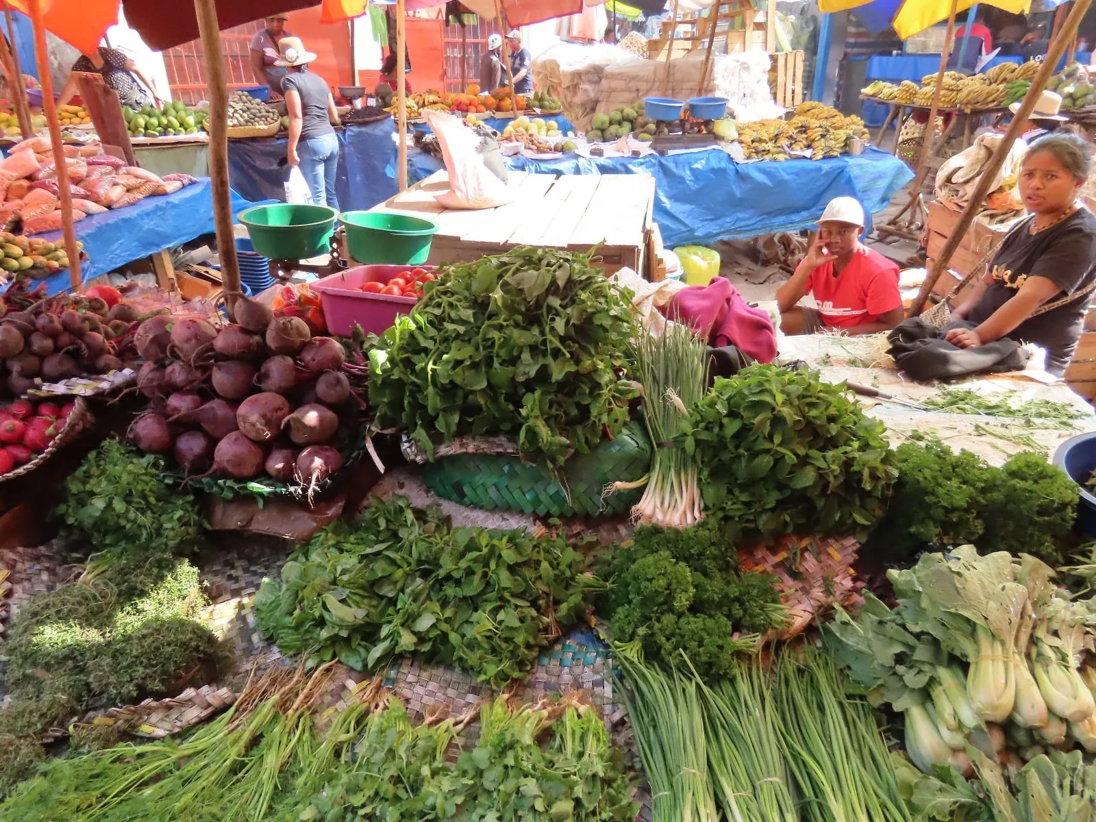 Fresh vegetables at a local market