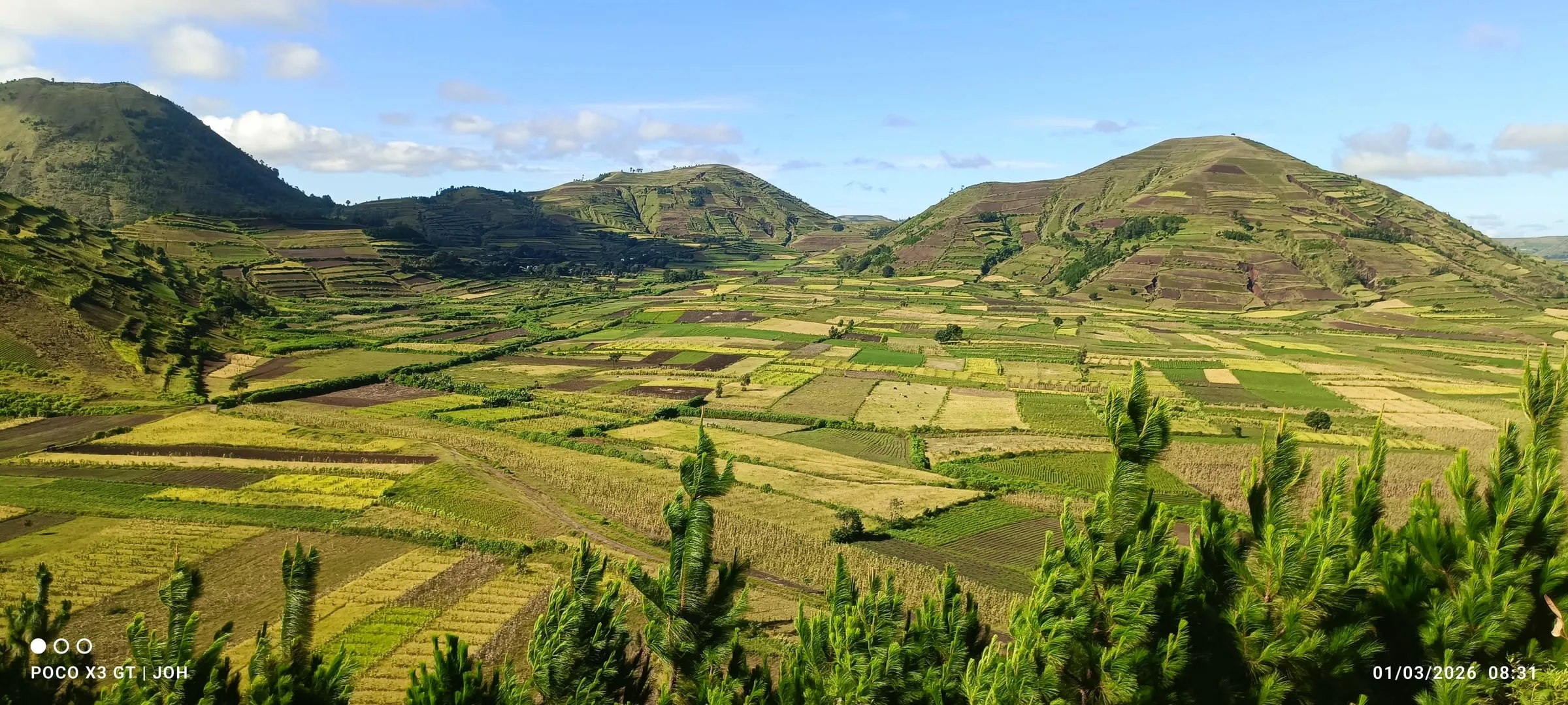 Terraced fields in the green hills of the Highlands