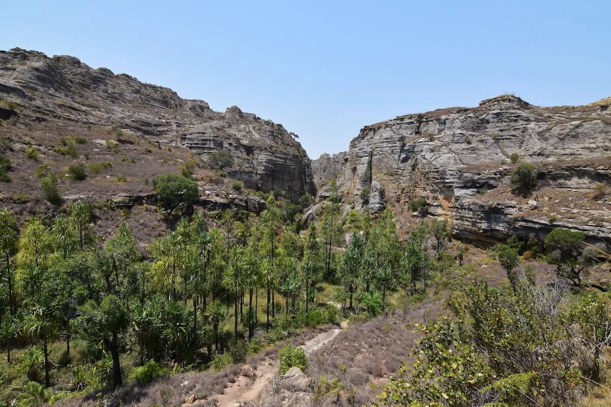 Falaises de grès et forêt-galerie dans l’Isalo