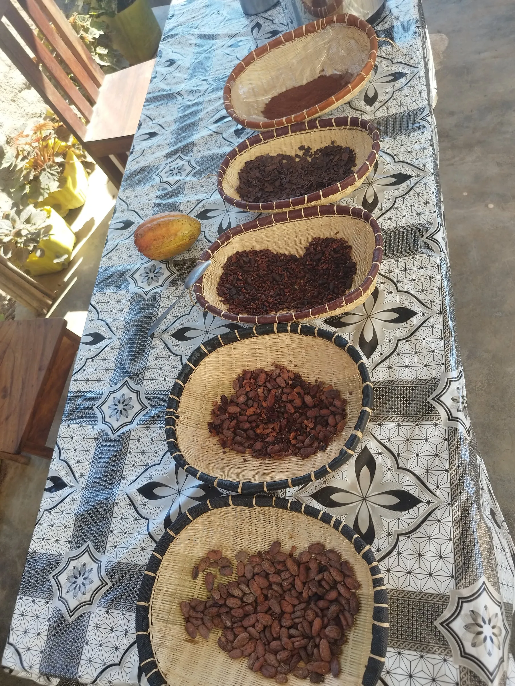 Fèves de cacao séchant dans des paniers tressés