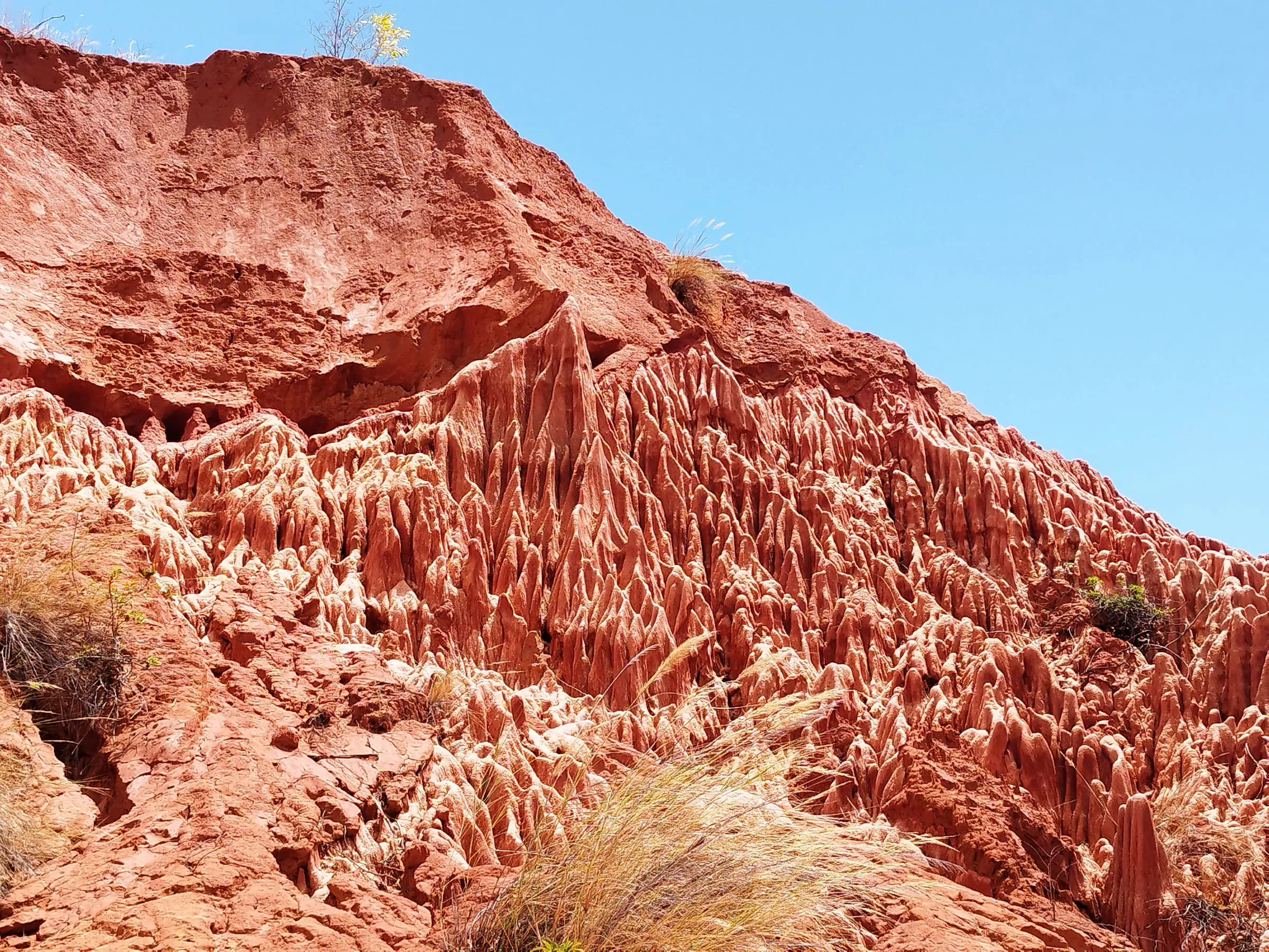 Le canyon rouge érodé d’Ankarafantsika